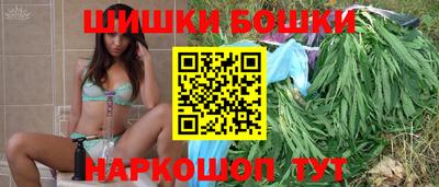 МДПВ Боровичи