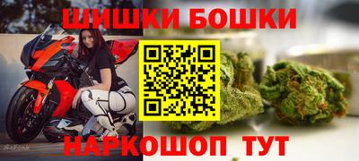 МДПВ Боровичи