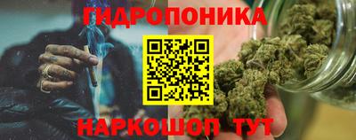 МДПВ Боровичи