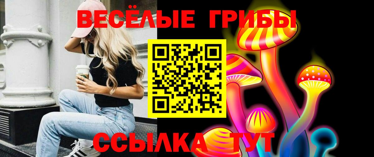 Галлюциногенные грибы Magic Shrooms Клинцы